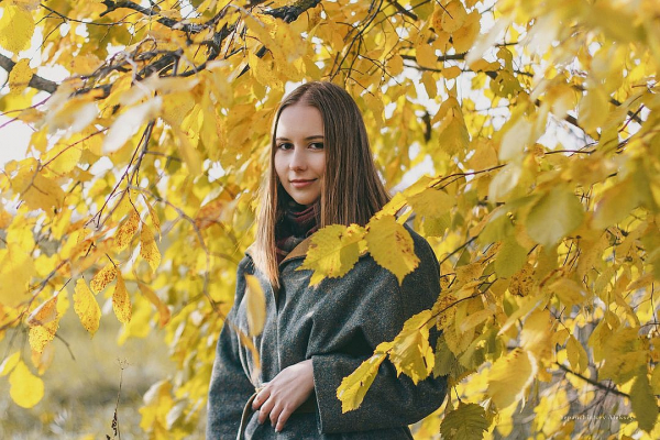 Мужик сказал - мужик на кнопку нажал: сибиряк позвал любимую замуж с помощью сайта &laquo;Госуслуги&raquo;