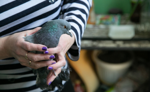 Как живется в доме после тарана самолета – исповедь жильцов Как живется в доме после тарана самолета – исповедь жильцов