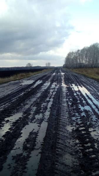 &laquo;Спасибо, что не сдохла&raquo;: односельчане бросили 81-летнюю старушку посреди дороги в 15 километрах от дома