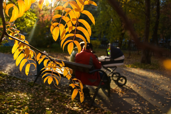 Золотой «Инстаграм»: топ-5 мест для идеальных осенних селфи