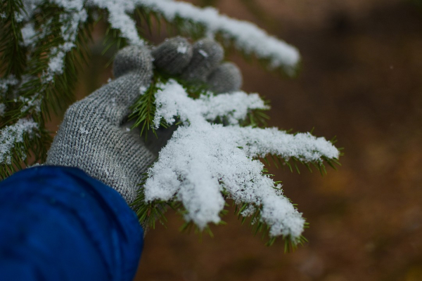 Три дня до зимы: радуемся первому снегу и готовимся к холодам Три дня до зимы: радуемся первому снегу и готовимся к холодам