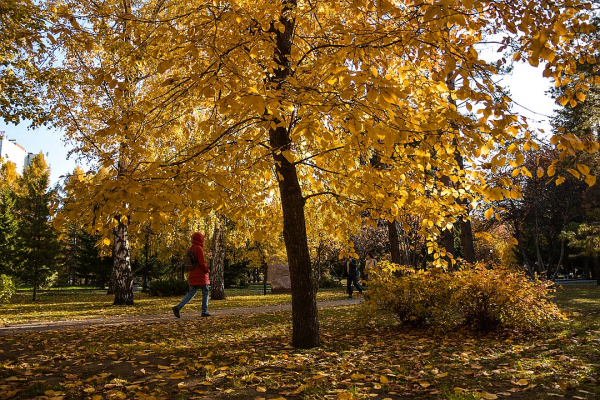 Золотой «Инстаграм»: топ-5 мест для идеальных осенних селфи