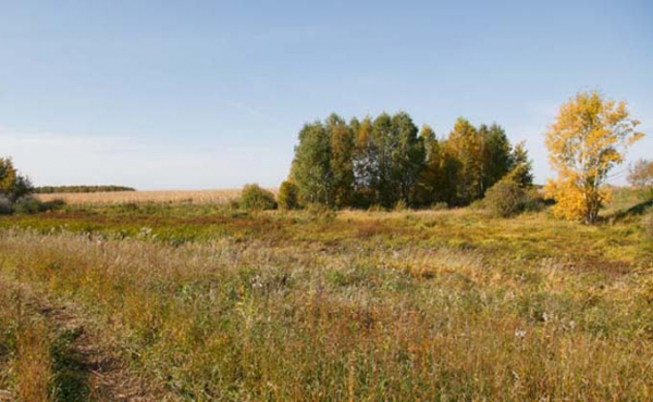 Коченевцы высказались против полигона ТКО на общественных слушаниях Коченевцы высказались против полигона ТКО на общественных слушаниях