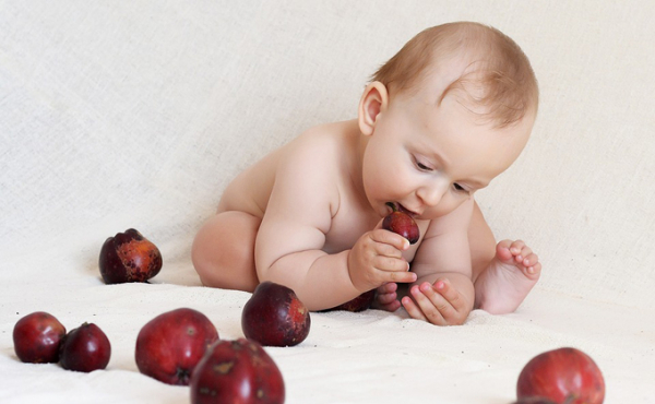 Детство без колбасы: как воспитывают детей родители-вегетарианцы Детство без колбасы: как воспитывают детей родители-вегетарианцы