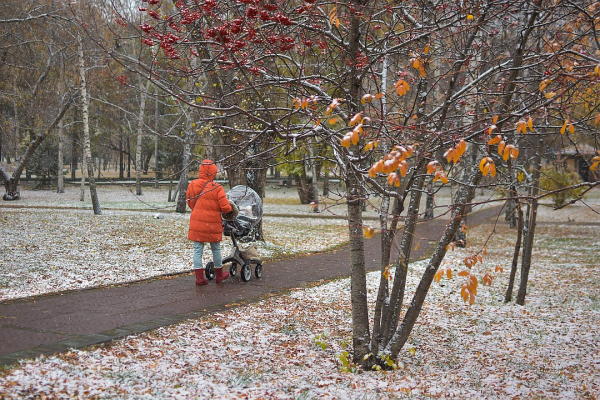 Три дня до зимы: радуемся первому снегу и готовимся к холодам Три дня до зимы: радуемся первому снегу и готовимся к холодам