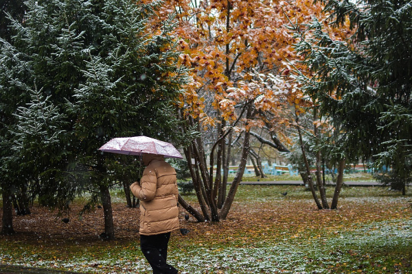 Три дня до зимы: радуемся первому снегу и готовимся к холодам Три дня до зимы: радуемся первому снегу и готовимся к холодам