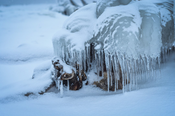 Ресницы колом: смотрим на сибиряков, которых не пугают 30-градусные морозы
