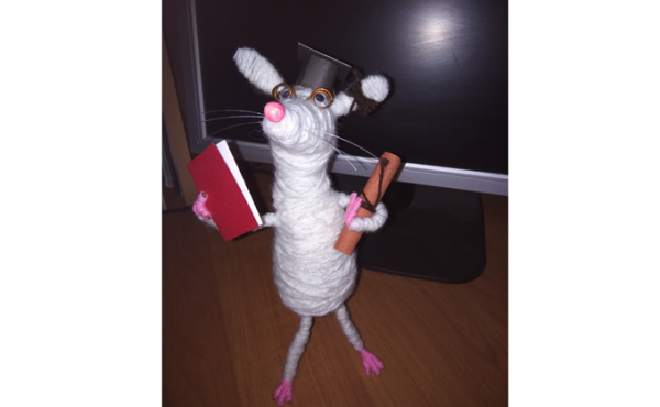 Трехглавые драконы поселились в квартире жительницы Довольного