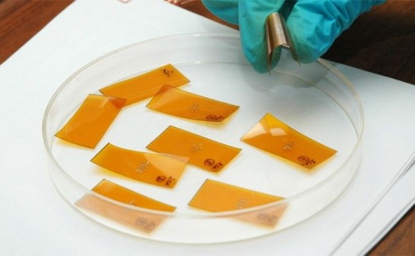 Сверхбыструю память для гибкой электроники создали новосибирские ученые