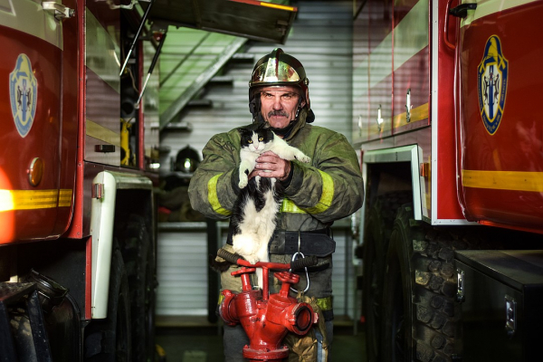 Пожарный с лапками: котенок, спасенный из огня, теперь сам ездит на вызовы