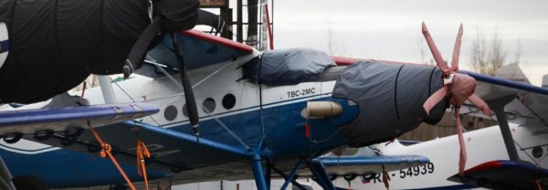 Если вы пропустили: электросамолёт, запечённые зомби и Аксолотль