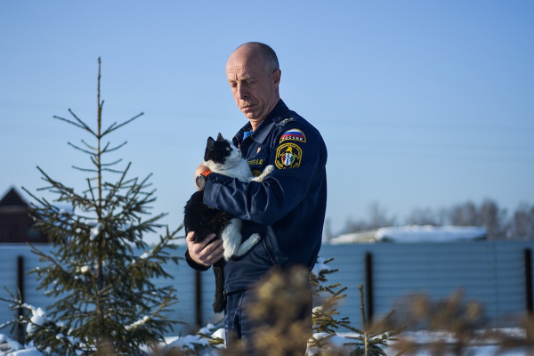 Пожарный с лапками: котенок, спасенный из огня, теперь сам ездит на вызовы