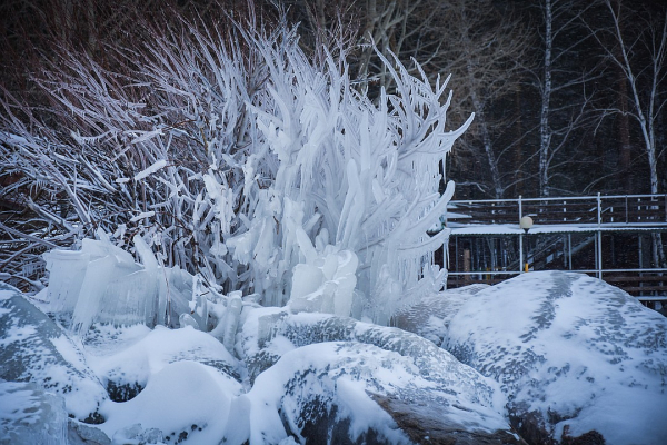 Ресницы колом: смотрим на сибиряков, которых не пугают 30-градусные морозы