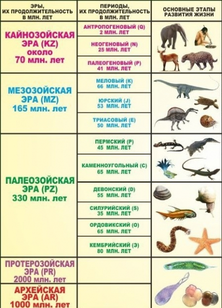 Теплое море вместо Новосибирска было миллионы лет до нашей эры