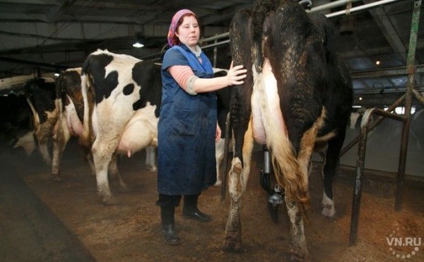 Женщинам в селе сократили рабочий день Женщинам в селе сократили рабочий день