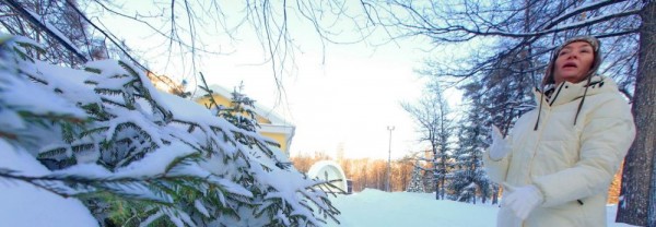 Ель или пихта: что продают на&nbsp;ёлочных базарах Новосибирска