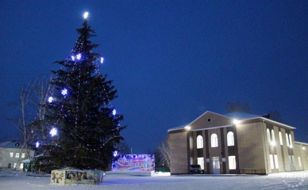 Елки в районах Новосибирской области: самые первые