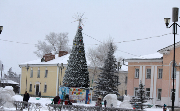 Елки в районах Новосибирской области: самые первые