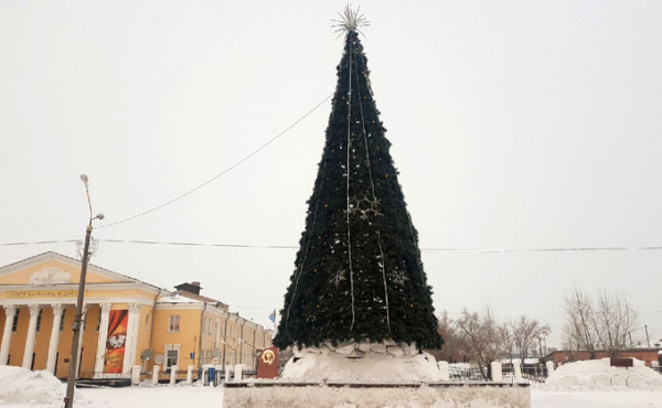 Елки в районах Новосибирской области: самые первые