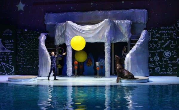 Новые трюки и новая история на площадке &laquo;Дельфинии&raquo; в Новый год