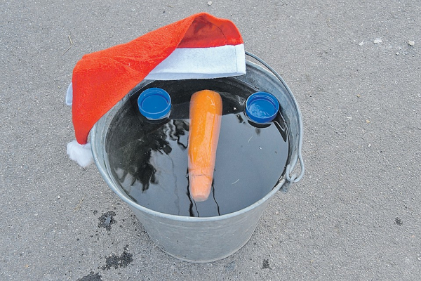 Зиму в Москве съедают другие времена года