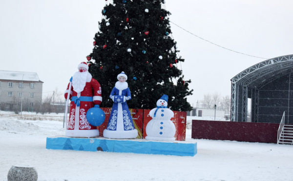 Елки в районах Новосибирской области: самые первые