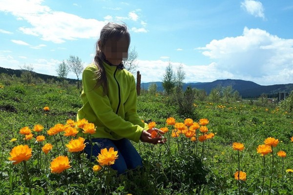 «Я сказал - выходи»: кондуктор высадил четвероклассницу в лесу рядом с дальнобойщиками из-за забытой справки «Я сказал - выходи»: кондуктор высадил четвероклассницу в лесу рядом с дальнобойщиками из-за забытой справки