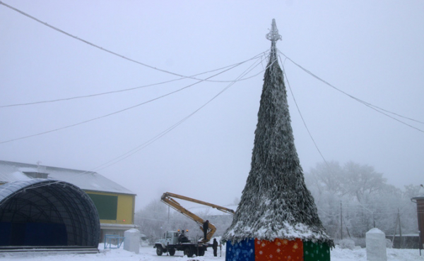 Елки в районах Новосибирской области: самые первые