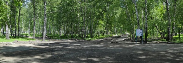 Шапито, ботанический пляж или стела героям: каким будет сквер на Демакова Шапито, ботанический пляж или стела героям: каким будет сквер на Демакова