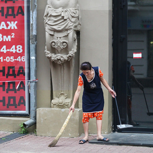 ВИП-гастарбайтеры: под видом академиков в Россию завозят дворников ВИП-гастарбайтеры: под видом академиков в Россию завозят дворников