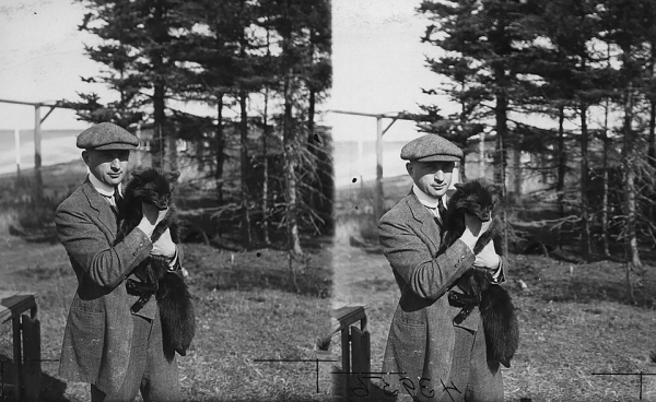 Истерика вокруг домашних лис: американцы хотели высмеять сибирских ученых, но сами опростоволосились