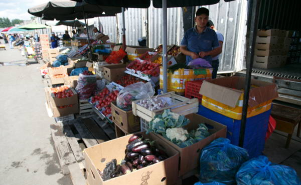 Эксперты: &laquo;Мигранты во дворах, в маршрутках, в медицине...&raquo;