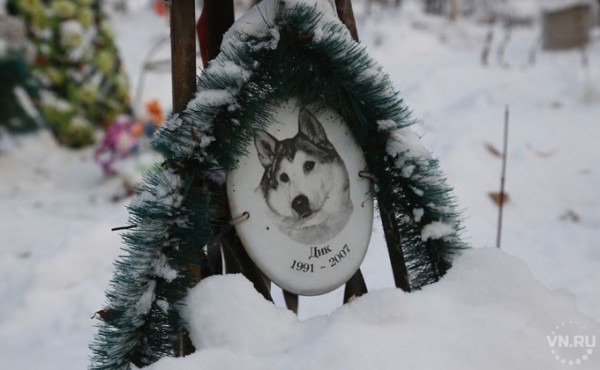 Кладбище домашних животных &ndash; как новосибирцы хоронят питомцев