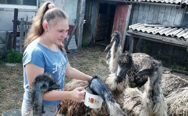 «Мясо, как у поросенка»: страусов начали разводить в Довольном