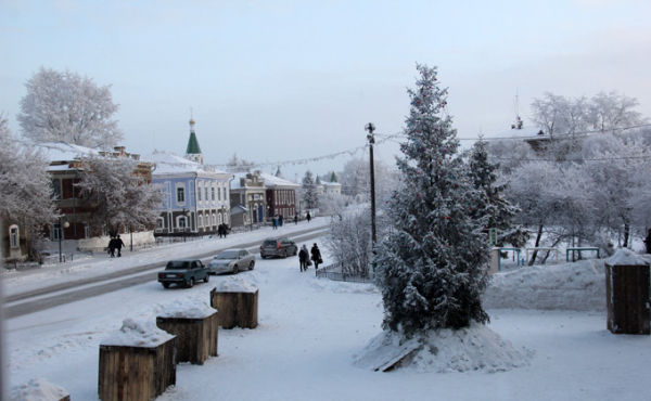 Елки в районах Новосибирской области: самые первые