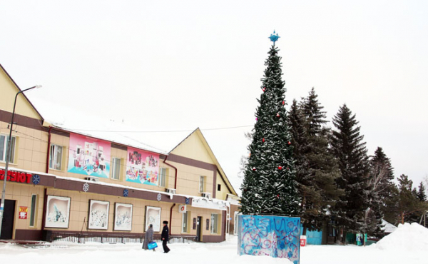 Елки в районах Новосибирской области: самые первые