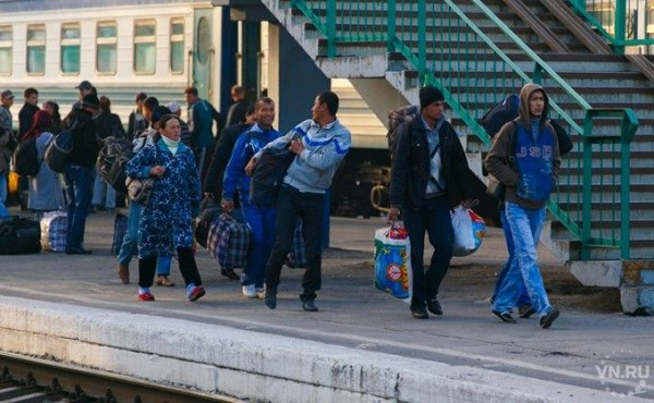 Легализацию мигрантов в обход закона поставили на поток в Новосибирске Легализацию мигрантов в обход закона поставили на поток в Новосибирске