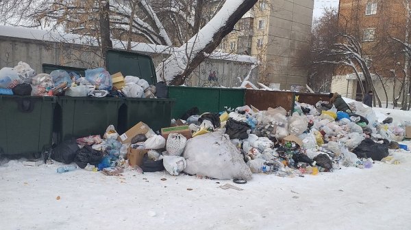 Виновата зима и праздники: перевозчики мусора объяснили, почему дворы Новосибирска превратились в свалку