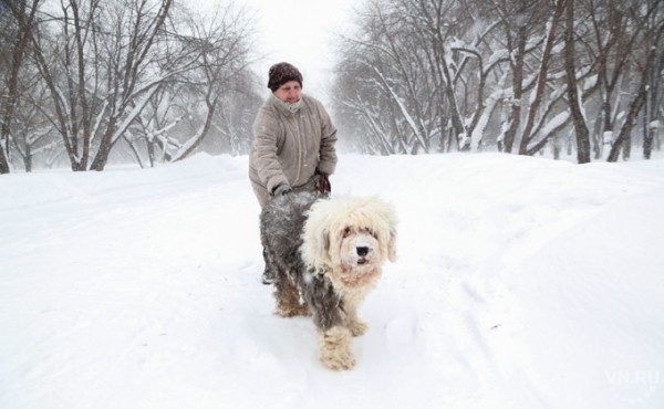 То в жар, то в холод &ndash; уточненный прогноз на февраль 2020 в Новосибирске