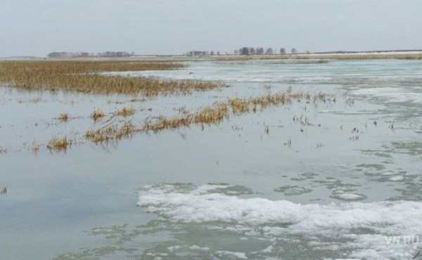 Протоку Кожурла между Чанами предложили почистить