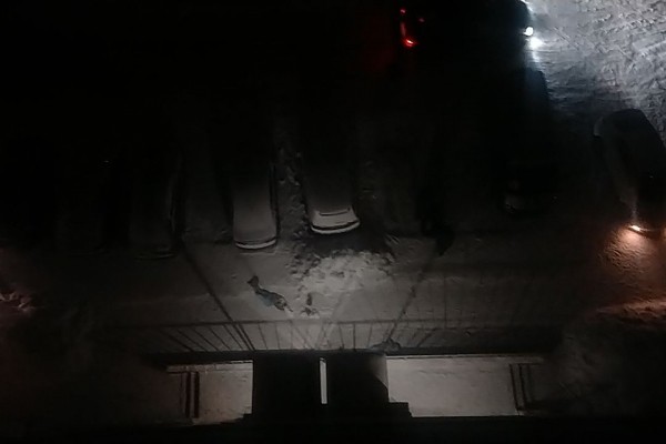 «Упаковки от снюсов, тетрадки» - что нашли в вещах погибших новосибирских школьниц «Упаковки от снюсов, тетрадки» - что нашли в вещах погибших новосибирских школьниц