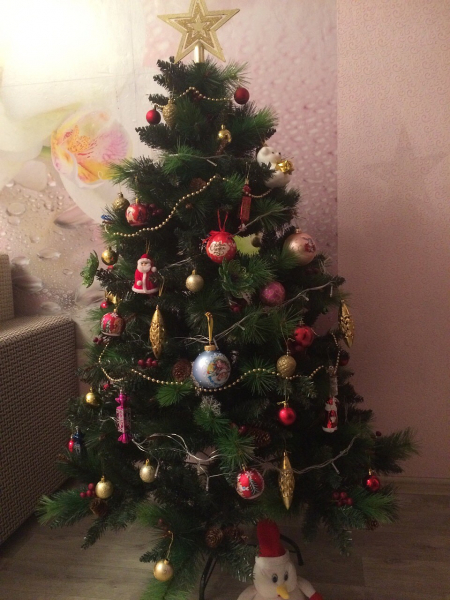 &laquo;Если я не в настроении &ndash; плохо всем&raquo;: многодетная сибирячка честно рассказала, насколько сложно быть мамой