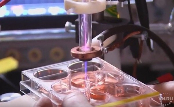 Холодной плазмой лечить рак предлагают ученые Академгородка