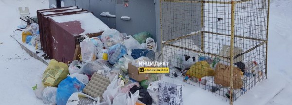 Областные власти прокомментировали вывоз мусора в&nbsp;Новосибирске