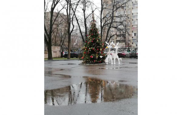 «Снег наш!»: проблема или повод для зависти