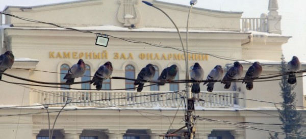 Волну холода в Новосибирске сменят оттепель и метели Волну холода в Новосибирске сменят оттепель и метели