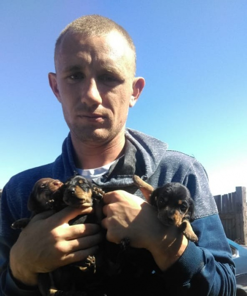 Найти пропавшую в Карасуке девочку помогла собака