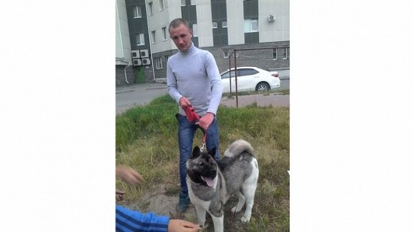 Найти пропавшую в Карасуке девочку помогла собака