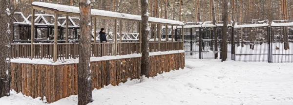 У вольеров оленей в Новосибирском зоопарке сделали балконы У вольеров оленей в Новосибирском зоопарке сделали балконы