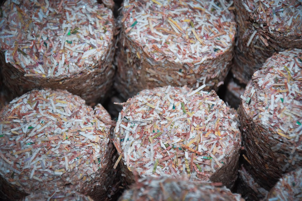 Сможете на это спокойно смотреть? Банкиры показали, как уничтожают тонны денег в секретном хранилище Сможете на это спокойно смотреть? Банкиры показали, как уничтожают тонны денег в секретном хранилище